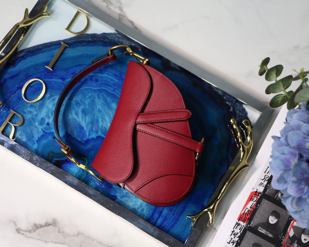 디올 새들 백 여자가방