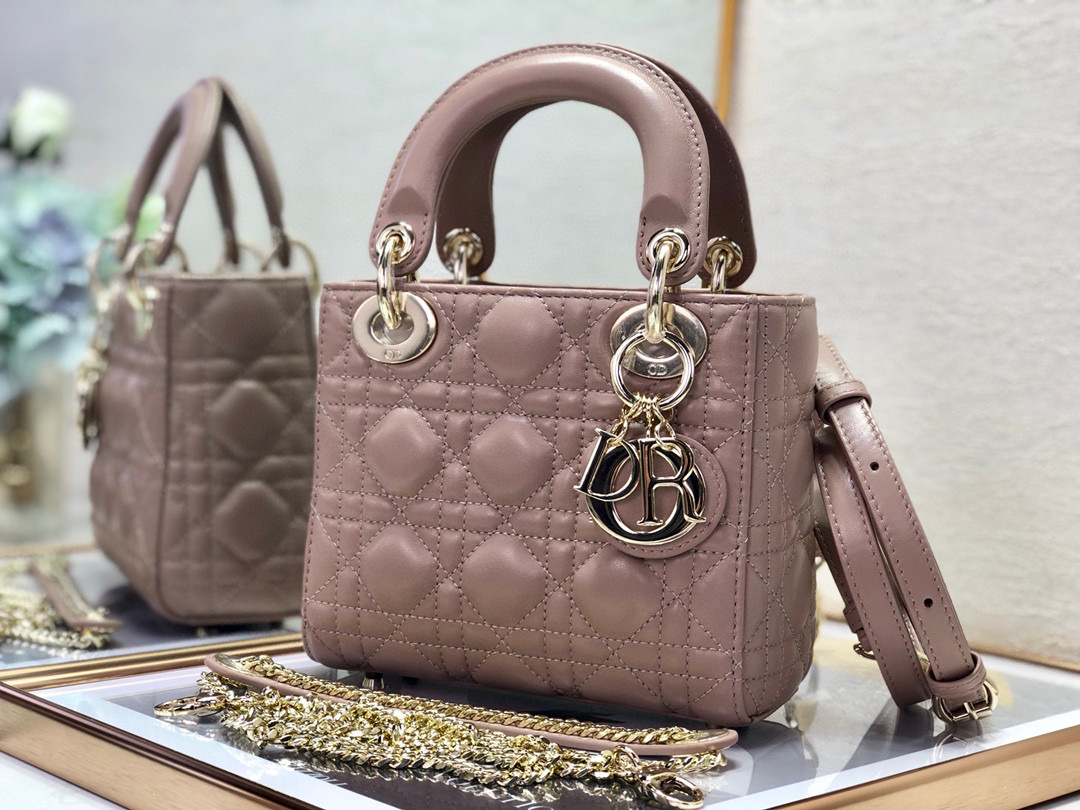 디올 레이디 토트백 여자가방 미니