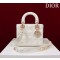 디올 레이디 백 여자가방