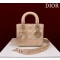디올 레이디 백 여자가방