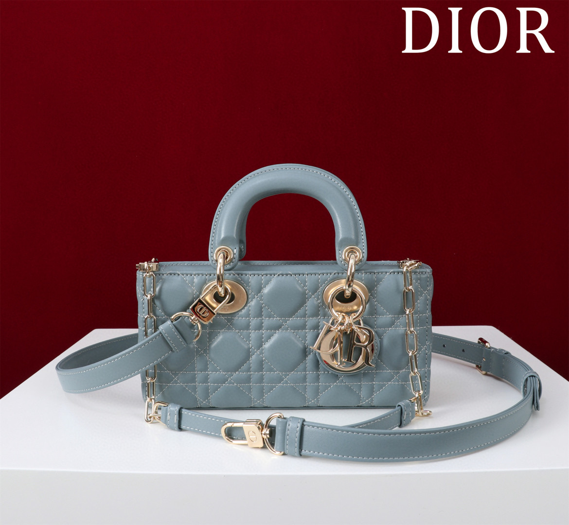 디올 미디움 여자가방