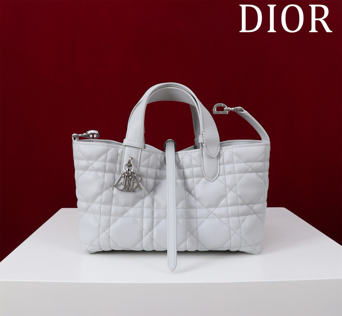 디올 여자가방