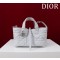 디올 여자가방