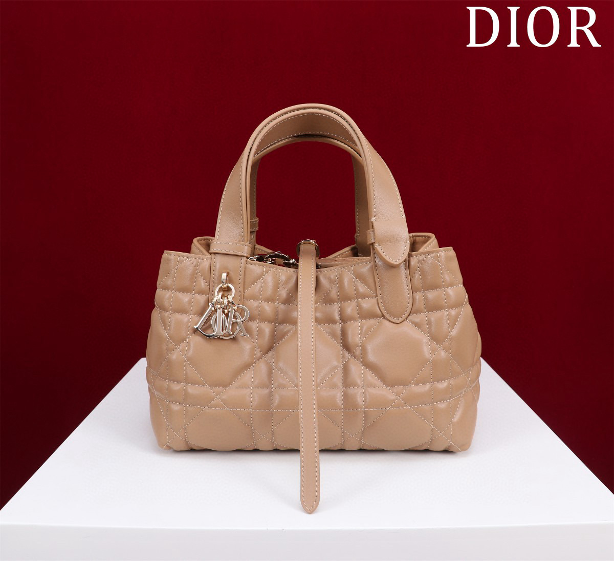 디올 여자가방