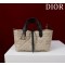 디올 여자가방