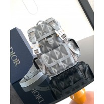 디올 미니 백팩