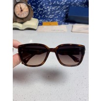 루이비통 선글라스