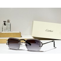 까르띠에 7컬러 선글라스